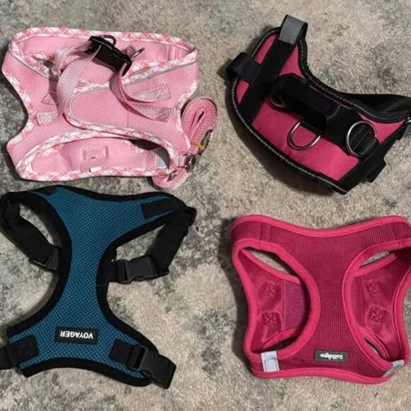Other - 4 Small Dog Harness Bundle